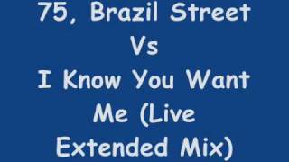 DJ NeO  75 Brazil Street Vs I Know You Want Me [upl. by Noevad]