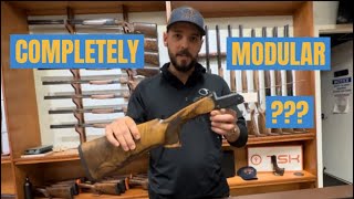 Blaser F3 introduction [upl. by Nalat]