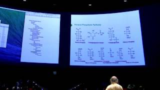 Pentose PhosphateGlycogen I  Kevin Aherns BB 450 Lecture 26 2016 [upl. by Wilek]