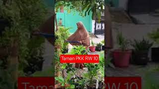 Taman PKK di RW 10 Pegangsaan dua yang dirawat rutin oleh para ibu pengurus PKK secara bergiliran [upl. by Eetnwahs]