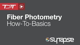 Fiber Photometry  RZ5P Processor  TDT [upl. by Muller76]