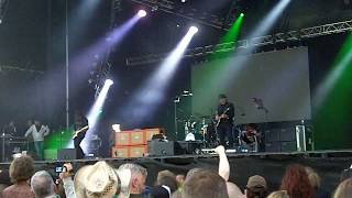 Primus  Wynonas Big Brown Beaver Live  SRF 2017 [upl. by Palua760]