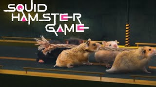 SQUID HAMSTER GAME 4 [upl. by Anihta]