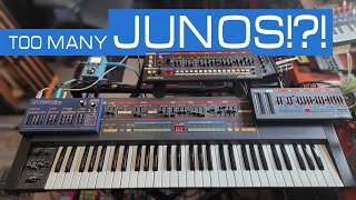 Which Juno is right for you Comparing Roland Boutiques and the Dreadbox Nymphes to the Juno106 [upl. by Dnomse]