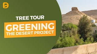 Greening the Desert Tree Tour [upl. by Millan]