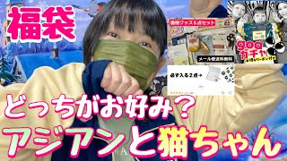 【福袋】アジアン福袋と猫ちゃん福袋（リピするならどっち？）楽天市場大きいサイズ [upl. by Honeywell]