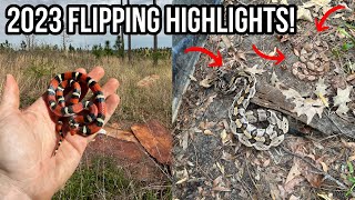 2023 Snake Hunting Highlights Searching for Reptiles and Amphibians Under Tin Boards and Rocks [upl. by Assilac]