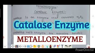 Catalase Enzyme metalloenzyme bioinorganic chemistry BSC amp MSc notes [upl. by Yrailih]