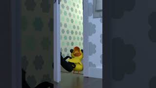 So scary 😱🕷️ humor babyduck spiders [upl. by Ekal]