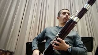 Fragments Bassoon solo 11 [upl. by Enaujed717]