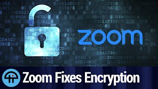 Zoom Fixes EndtoEnd Encryption [upl. by Fruin]