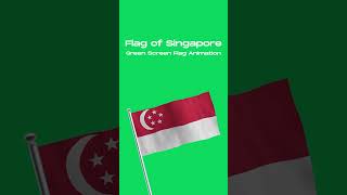 The Unbelievable Story Behind Singapores Flag [upl. by Etteniuqna]