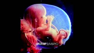 MoTrip  Embryo [upl. by Almallah]