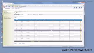 Editing Your ADP Timesheet [upl. by Regni]