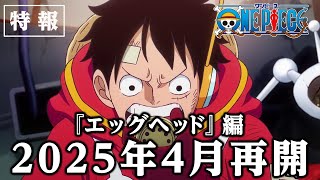 DESCANSO del ANIME HASTA 2025 ONE PIECE FAN LETTER Y REMASTER de GYOJIN ISLAND [upl. by Firahs112]