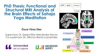 PhD Thesis Functional and Structural MRI Analysis of the Brain Effects of Sahaja Yoga Meditation [upl. by Enyamrahc]