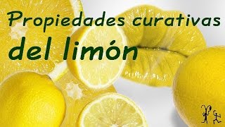 El limon sus propiedades curativas Propiedades y beneficios del limón [upl. by Idonna]