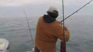 152 lb Trout  Fishing for Trout and Salmon  Trolling [upl. by Aida]