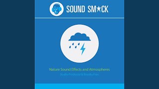 Light Rain Pitter Patter on Umbrella Sound Effect [upl. by Akinoj]