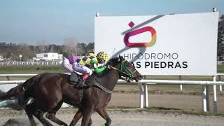 240727 c07  NOIR PINOT BRZ  HIPODROMO LAS PIEDRAS [upl. by Longo]