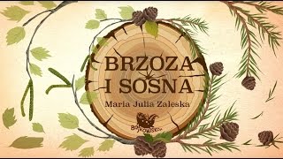 BRZOZA I SOSNA – Bajkowisko  bajki dla dzieci – słuchowisko – bajka dla dzieci audiobook [upl. by Aholah]