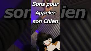 Jouet qui Couine  Bruitage SON JOUET CHIEN SON POUR APPEL CHIEN [upl. by Warchaw952]