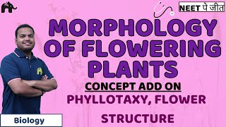 Morphology of Flowering Plants  Superfast Revision with Handwritten Notes and PYQs [upl. by Nyliret]