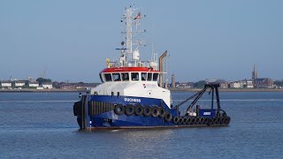 Tug DUCHESS  27m Damen shoalbuster at felixstowe 17523 [upl. by Solrac]