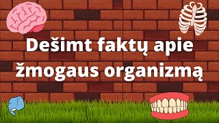 Dešimt faktų apie žmogaus organizmą🧠  Edukaciniai filmukai vaikams🐘 [upl. by Nawat]