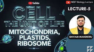 Mitochondria Plastids amp Ribosomes  Cell The Unit of Life NEET11th Lecture 5  Shivam Mahendru [upl. by Alimak537]