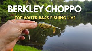 Berkley Choppo Top Water Bass Fishing [upl. by Nyrehtac]