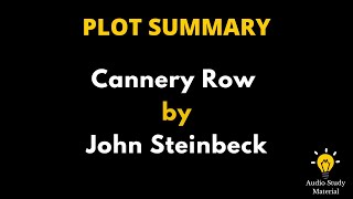 Summary Of Cannery Row By John Steinbeck [upl. by Rosetta676]