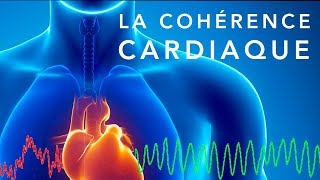 💓 La cohérence cardiaque  un exercice simple pour retrouver léquilibre [upl. by Luing]