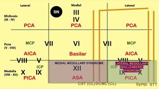 Brain Stem Lesion Mnemonic  CRASH Medical Review Series [upl. by Fox]