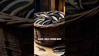 Eels Was The Currency In Medieval England [upl. by Favianus149]