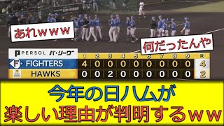 【わくわく】今年の日ハムがquot楽しい理由quotが判明してしまうｗｗｗ [upl. by Caron]