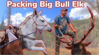 Mule Packing A Giant Bull Elk Vlog 8 [upl. by Dzoba179]