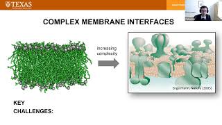 BuildaCell seminar Carlos Baiz Interfacial environments in synthetic membranes [upl. by Stacey]