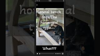 Bench dogs the horizontal type how to [upl. by Onavlis]