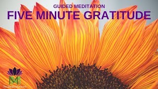 5 Minute Guided Meditation for Gratitude  Mindful Movement [upl. by Alber]