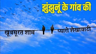 beautiful evening in jhunjhunu  village in jhunjhunu  shekhawati  nawalgarh relexing music ASMR [upl. by Tezil]