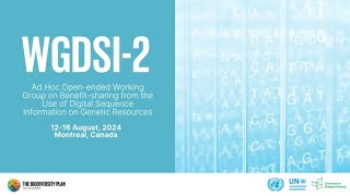 WGDSI2 DAY 1  Plenary Agenda items 1 and 2 Committee of the Whole agenda item 3 [upl. by Aiksa332]