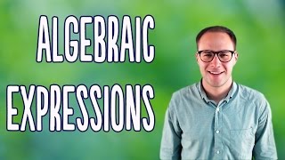 Algebraic Expressions Basics [upl. by Ahsilek]