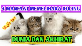 4 MANFAAT MEMELIHARA KUCING di DUNIA DAN AKHIRAT [upl. by Tristam]