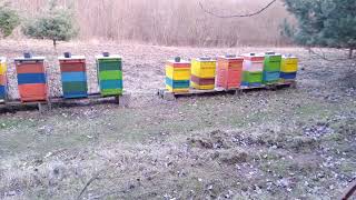 Nature trail Carpathian bee  náučný chodník Karpatská včela [upl. by Yregram]