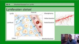 Basisstof 8 Weefselvloeistof en lymfe [upl. by Enohsal]