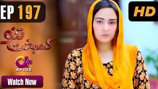 Kambakht Tanno  EP 197  Aplus  Shabbir Jaan Tanvir Jamal Sadaf Ashaan  C2U1 [upl. by Vala]