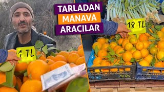 Tarladan Manava Aracılar  Skeç [upl. by Aelhsa]