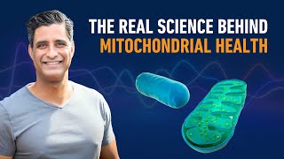 The Real Science Behind Mitochondrial Health [upl. by Estrella]