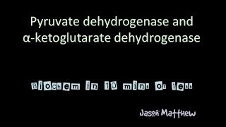 Pyruvate dehydrogenase and Alpha ketoglutarate dehydrogenase [upl. by Enomar]